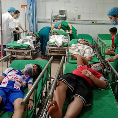 Nghệ An: Hàng loạt học sinh bị ong đốt phải nhập viện cấp cứu